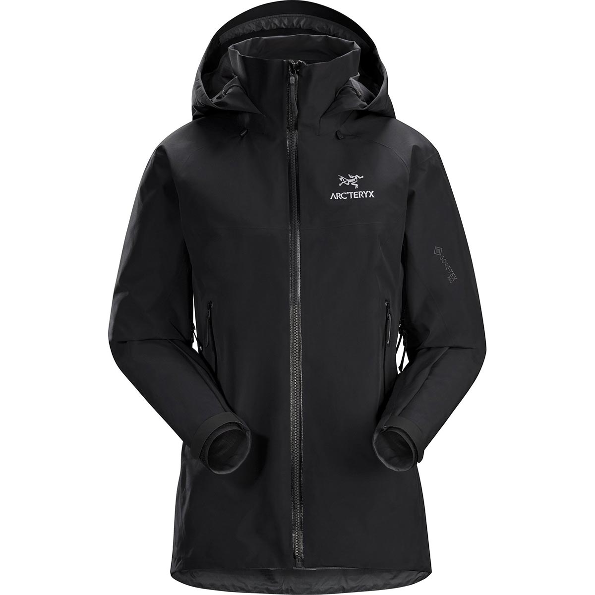 Arc'teryx Beta AR Jacket, women's, Fall 2019 model (free ground ...