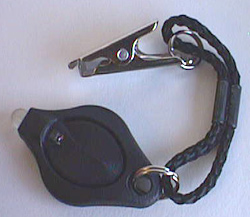 Lanyard and clip