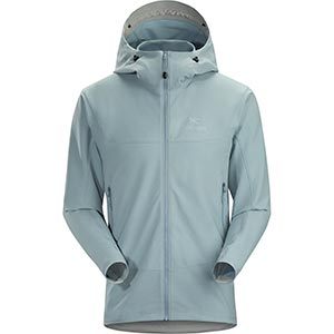 Arc'teryx Men's Gamma LT Hoody